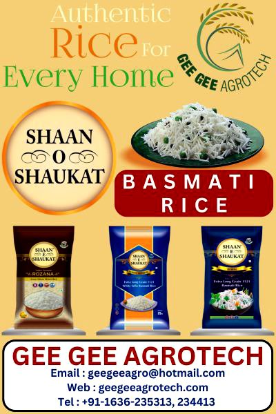 export quality basmati rice - 1