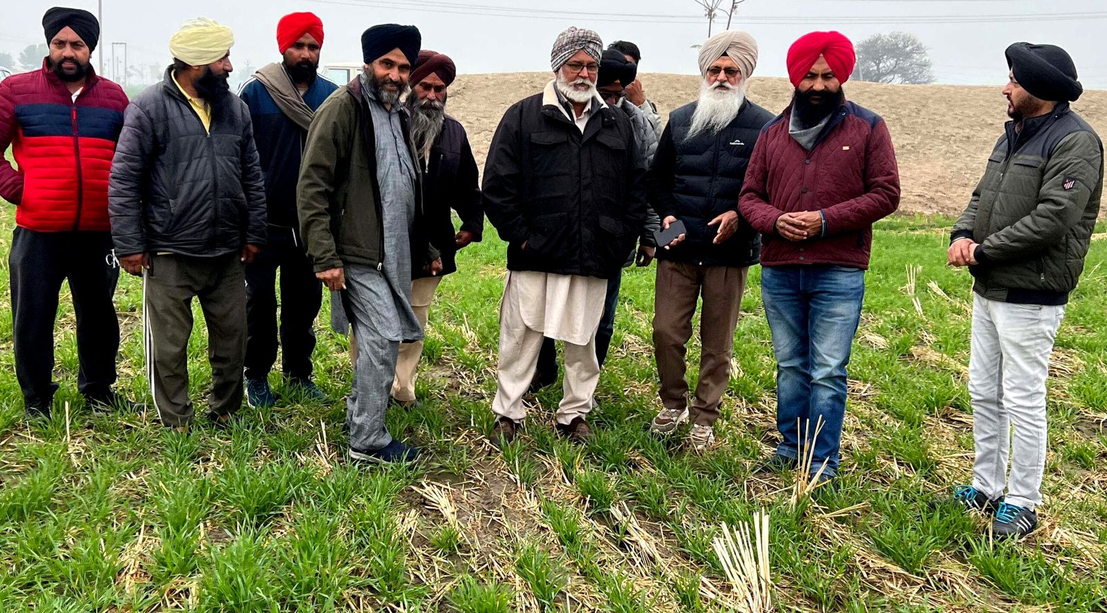 ਕਣਕ ਦੀ ਫ਼ਸਲ ਨੂੰ ਪੀਲੀ ਕੁੰਗੀ ਦੀ ਬਿਮਾਰੀ ਨੂੰ ਲੈ ਕੇ ਖੇਤੀਬਾੜੀ ਵਿਭਾਗ ਸਰਗਰਮ !!