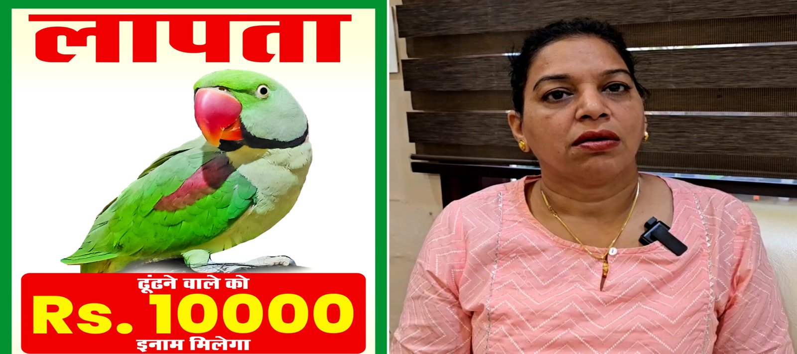 तोता ‘मिट्ठू’ लाओ, ₹ 10000 नगद ले जाओ ! लापता मिटठु की सरगर्मी से तालाश जारी !!